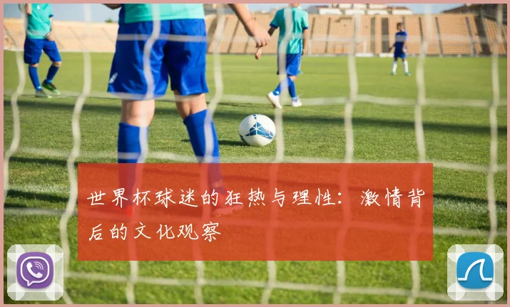 世界杯球迷的狂热与理性：激情背后的文化观察