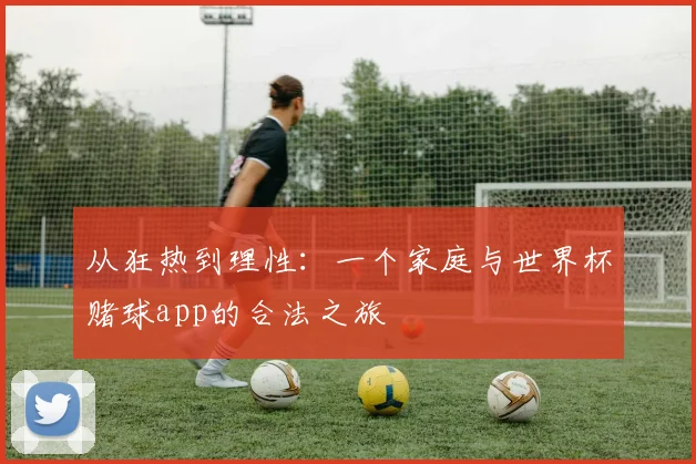 从狂热到理性:一个家庭与世界杯赌球app的合法之旅