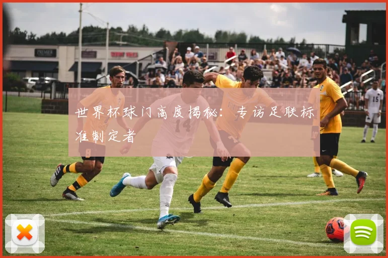 世界杯球门高度揭秘:专访足联标准制定者