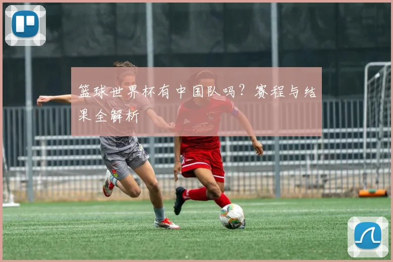 篮球世界杯有中国队吗?赛程与结果全解析