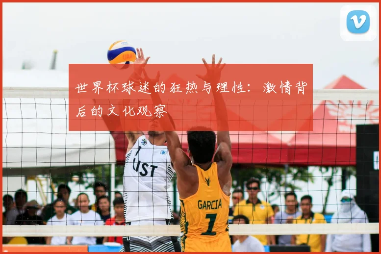 世界杯球迷的狂热与理性:激情背后的文化观察